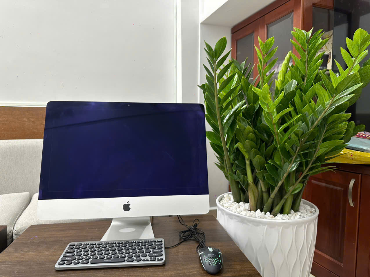 z6989018575520_01f055031763a8d75b6788f3701554d8