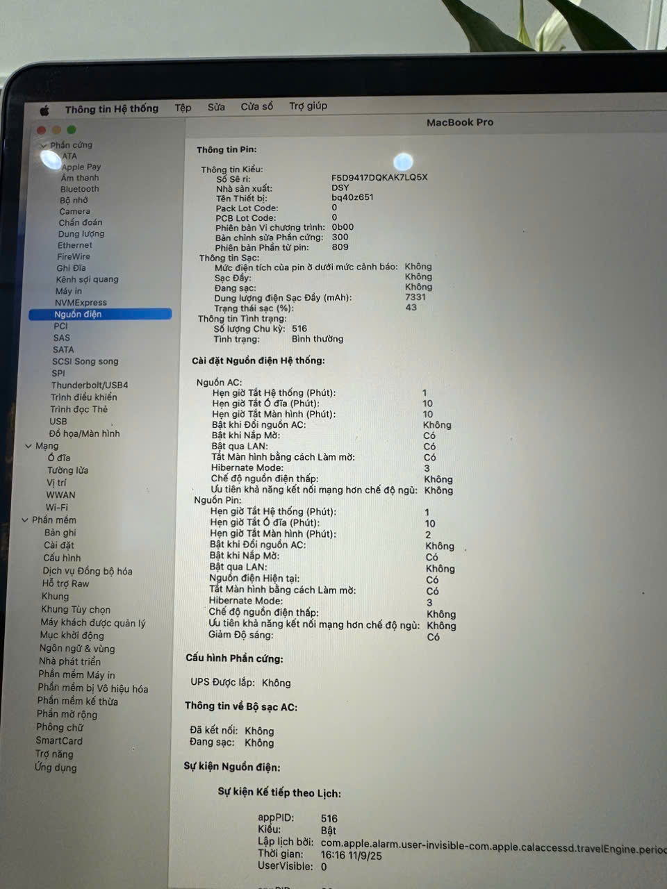 z6999012264525_603871a6628a571e6ec4a00d0911a6a2