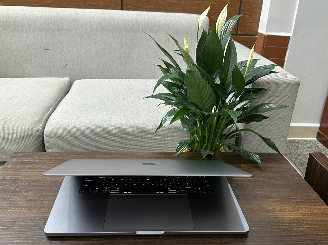 z6999123333622_918f768fe293a06ed7fd52047a285faa